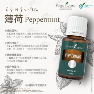 芳香日常小用法：薄荷 Peppermint